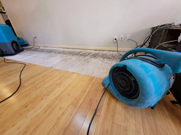 Professional Water Damage Repair technician working in Boonville, IN